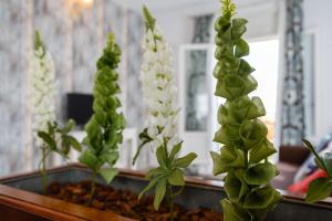 Atico del ROMANTICO Gaditano by Cadiz4Rentals