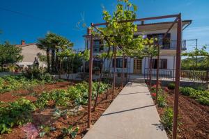 Apartman Ana