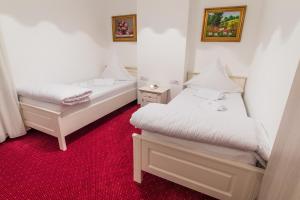 Standard Twin Room room in Hotel Casa David
