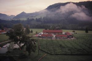 Flößerdorf Großraming