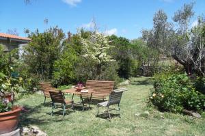 Il Vecchioliveto di Ornella img31