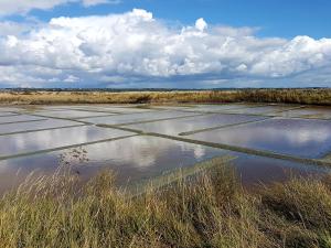 B&B / Chambres d'hotes La Maison Bizienne Guerande - Chambres d'hotes de charme : photos des chambres