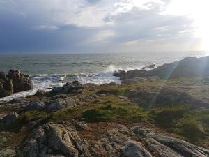 B&B / Chambres d'hotes La Maison Bizienne Guerande - Chambres d'hotes de charme : photos des chambres