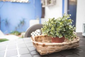 Apartamento en el corazón de Tarragona. Planta baja con patio.