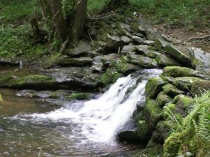 Oh! Campings - La Garenne en Perigord : photos des chambres