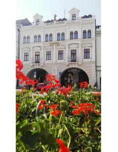 3 star hotel Hotel Zlatý Anděl Žatec Češka