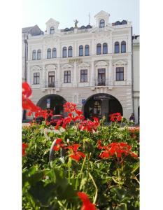 3 hviezdičkový hotel Hotel Zlatý Anděl Žatec Česko