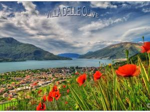 Villa delle Olive