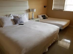 Large Double Room room in Haven Hotel - Fort Lauderdale Hotel