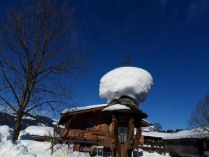 Haus Elisabeth Appartement Reiter Reith Bei Kitzbuhel Austria