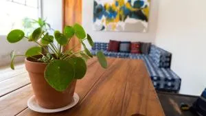 Hotel Muchá - 克萨尔特南戈