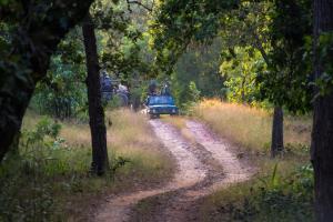 Syna Tiger Resort Bandhavgarh