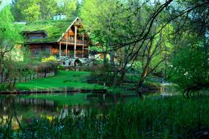 Kraina Alkos - Adults Only (18+)