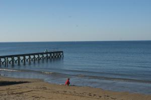 Maisons de vacances Gite 