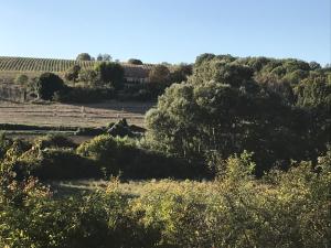 Appartements Domaine le Commandaire : photos des chambres