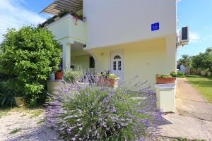 Apartments Romansa