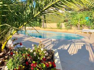 Antibes Juan les Pins center,1 bedroom apart, pool