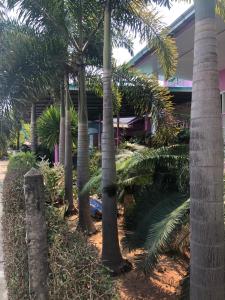 Bann Pa Su (บ้านป้าสุ)