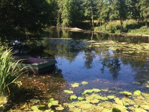 Maisons de vacances A Bois Mort : photos des chambres