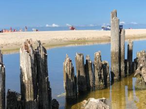 Dom Majówka i Apartamenty Bartoszówka i Michałówka