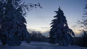 Hotels Chaume de Balveurche : photos des chambres