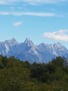 Agriturismo La Selva