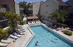 Siesta Key Dream Vacation
