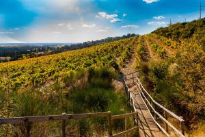 Hotels Hotel le Mas des Ponts d'Arles : photos des chambres