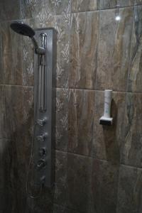 Вила Поликсения Петиня