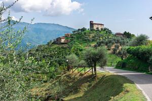 Castello Di Mammoli