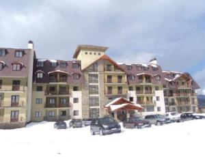 Bakuriani Hills Apartment