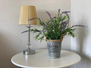 Eskdaill Place Apartment