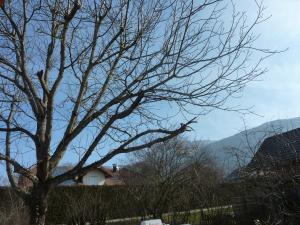 Studio 30 M2 jardinet 10minutes Annecy photo 21