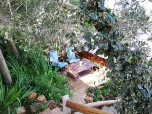 Martins Apartment - Belch1952 - Ferrel