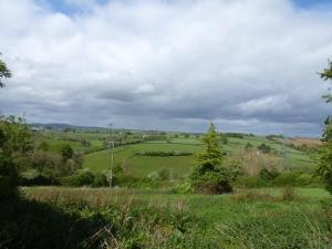 Thatch Close Cottages