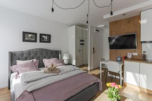 Central Apartments Piwna