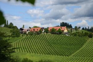 Penzion Weingut Fellner Leutschach an der Weinstraße Rakousko