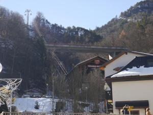 Appartements STUDIO COSY LE ROYAL SKI 3 VALLEES : Appartement 1 Chambre