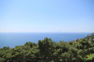 Studio with Terrace and Sea View room in Studio Sveta Nedilja 8792a