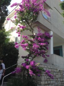 Guesthouse Punta Mira - Beachfront