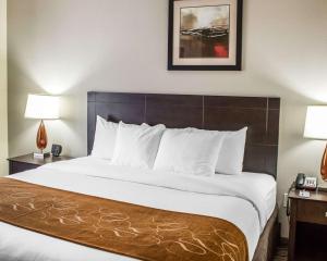 King Room - Non-Smoking room in Comfort Suites Wilson