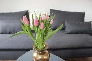 Apartment Steinbruch