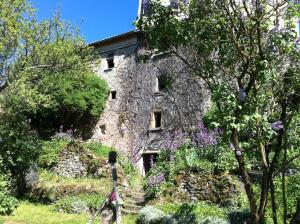 Maisons de vacances Le petit Fort Fleuri : photos des chambres