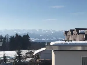 Appartement Allgäu-Sonne mit Sauna und Pool - 沙伊代格