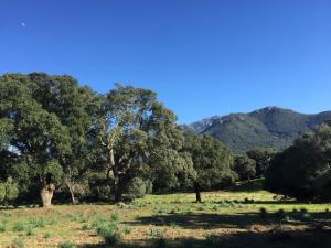 Villas Maison de campagne, deux chambres, vue sur les montagnes : photos des chambres