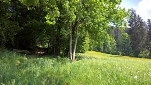 Holiday Home Zillertal - Haus Gigl