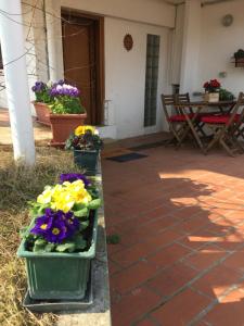 Ca Bianca Relax Apartment