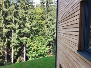 Útulný apartmán u Mumlavských vodopádů