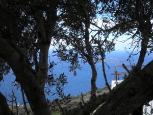 LORENZIA'S HOUSE Andros Greece