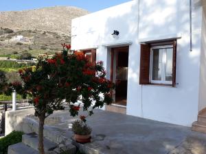 MARIA GUESTHOUSE KINI